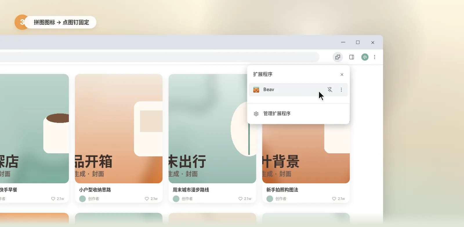 浏览器扩展程序菜单中点图钉固定 Beav